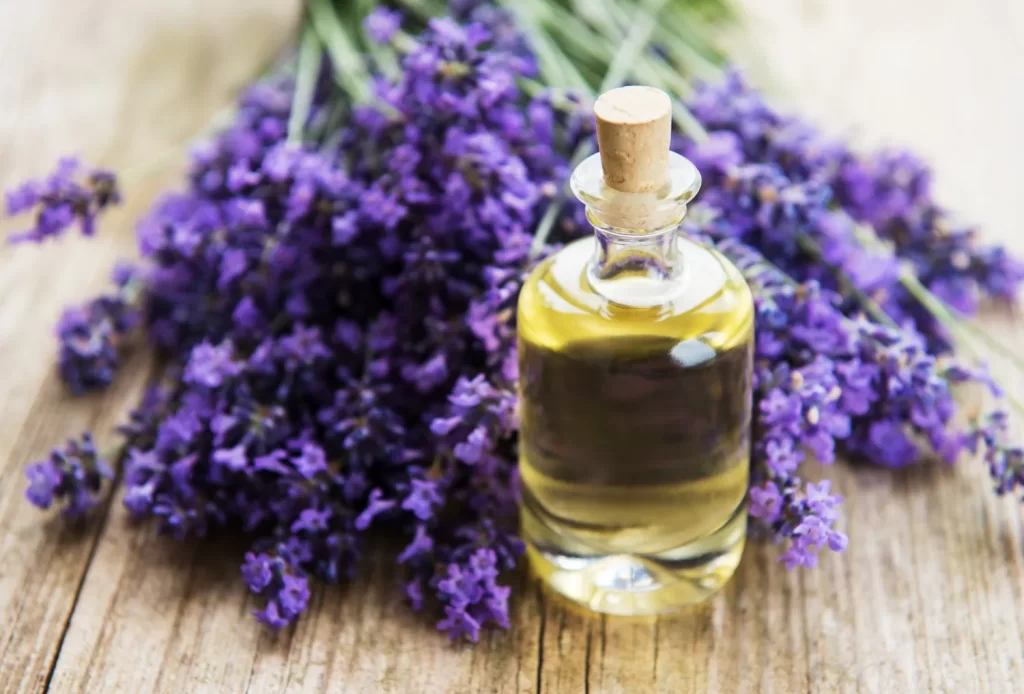 Lavender Oil