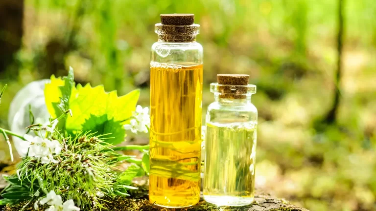 บำรุงผมให้เงางาม ไร้ชี้ฟูด้วยน้ำมันธรรมชาติ 6 ชนิดที่คุณต้องลอง